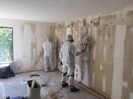 Why You Should Choose Our Mold Remediation Services in Hastings, PA